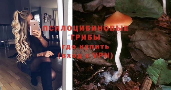 а пвп мука Переславль-Залесский