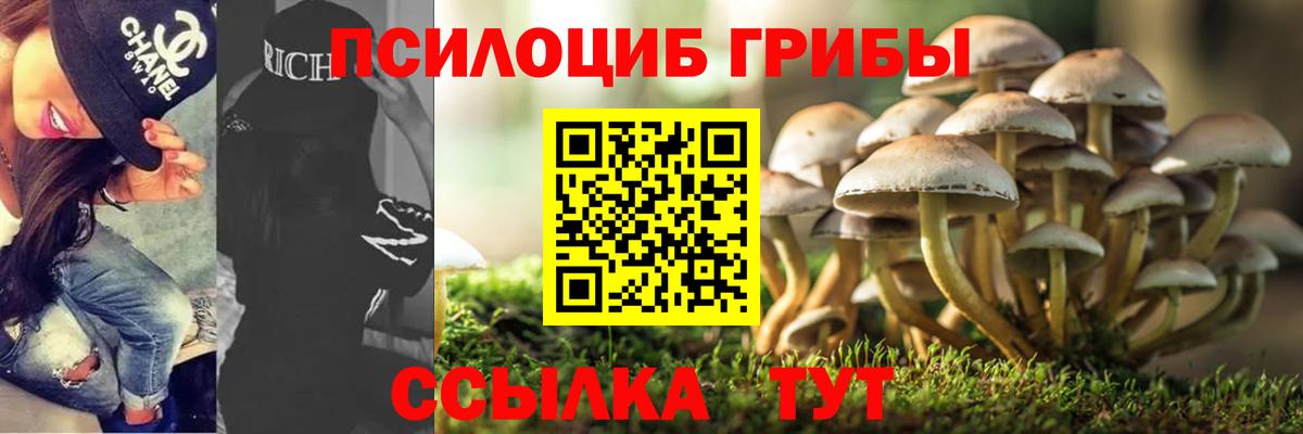 Псилоцибиновые грибы Magic Shrooms  где можно купить наркотик  Галлюциногенные грибы Magic Shrooms  Энгельс 