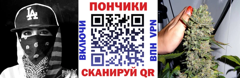 Канабис планчик цена наркотик Энгельс